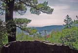 Spectacular views from Acadia National Park Carriage Roads