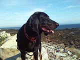 Olivia’s view from the backshore