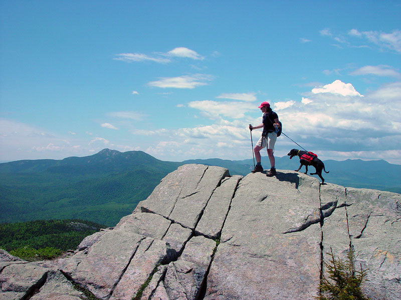Map maker Angela and Olivia Rose, her coonhound hiking in New Hampshire