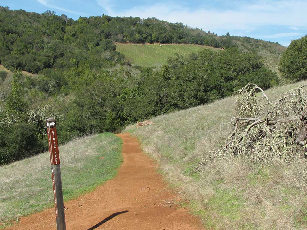 On the Overlook Trail above the town of Sonoma.