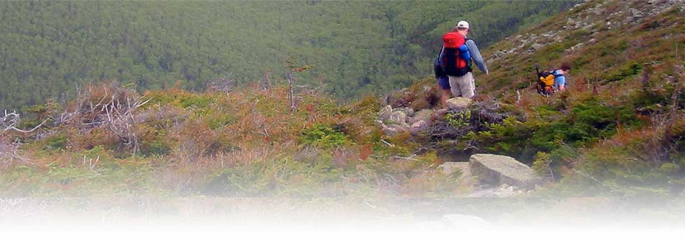 Acadia National Park, Maine